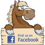 facebook-horse