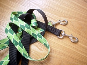 leashes