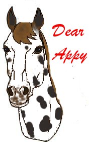 Dear Appy