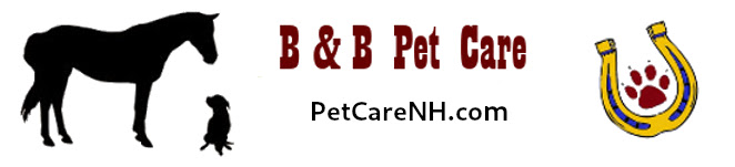 B&B Pet Care logo