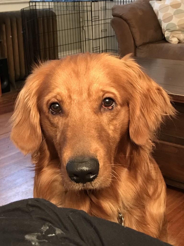 Oliver